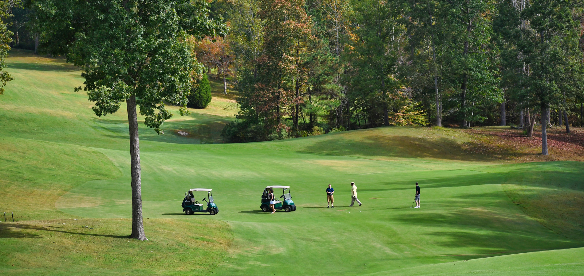 大和ゴルフ熊本イメージ3